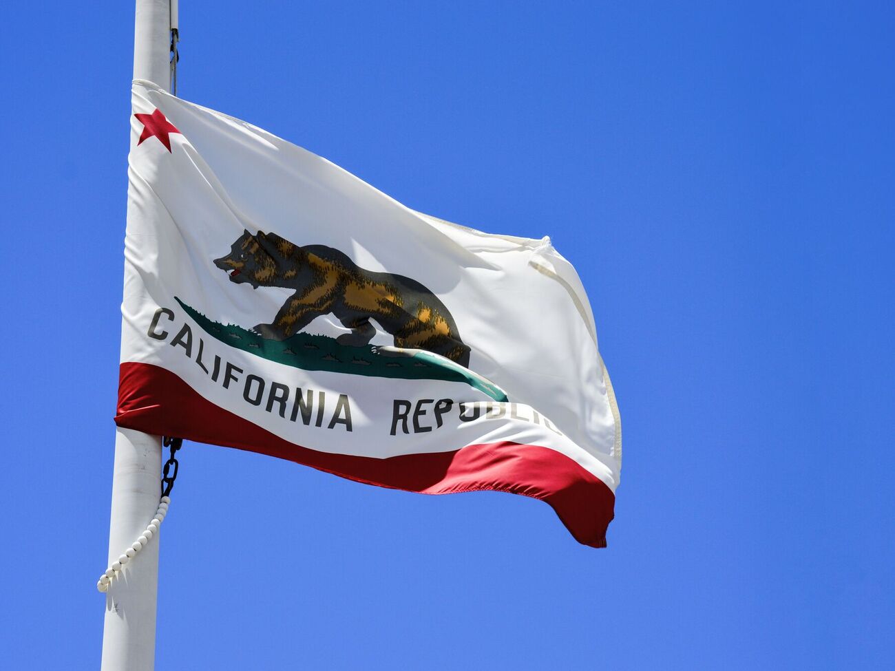 Кампания по покупке Калифорнии уже собрала более 198 тыс. подписей