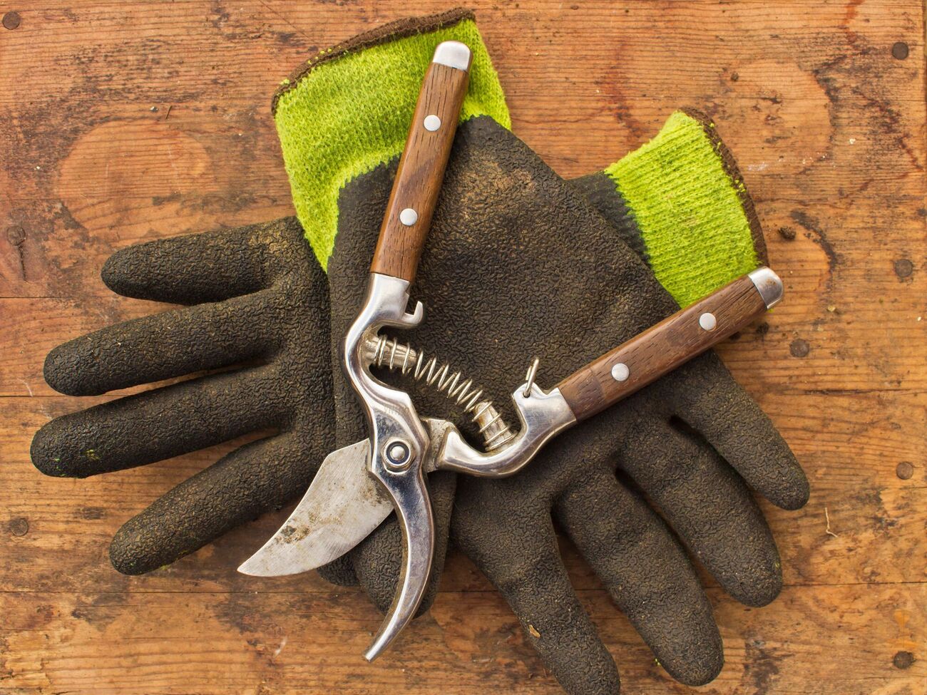 Після заточування садовий інструмент важливо обробити