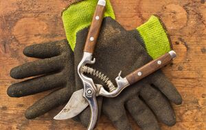 После заточки садовый инструмент важно обработать