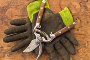 После заточки садовый инструмент важно обработать