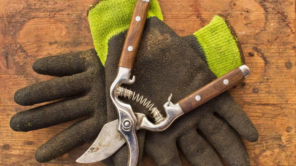 Після заточування садовий інструмент важливо обробити