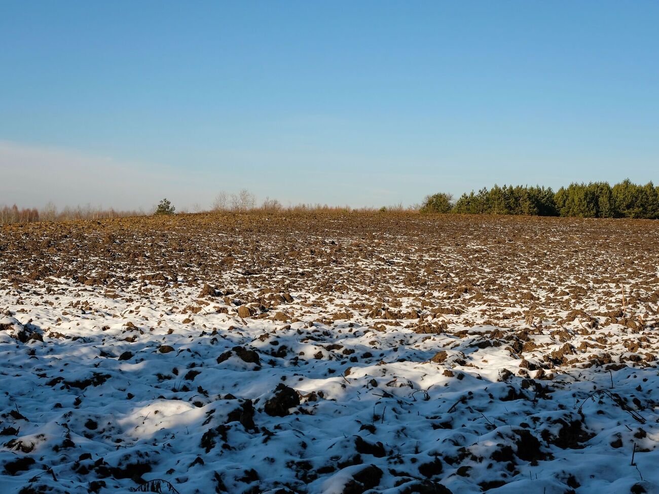 60% договоров за год заключено в отношении земельных участков