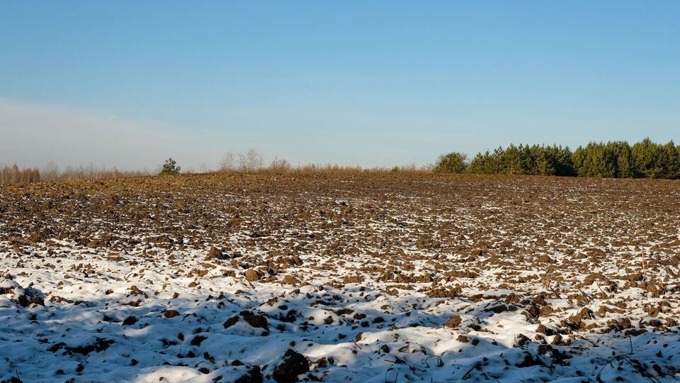 60% договоров за год заключено в отношении земельных участков