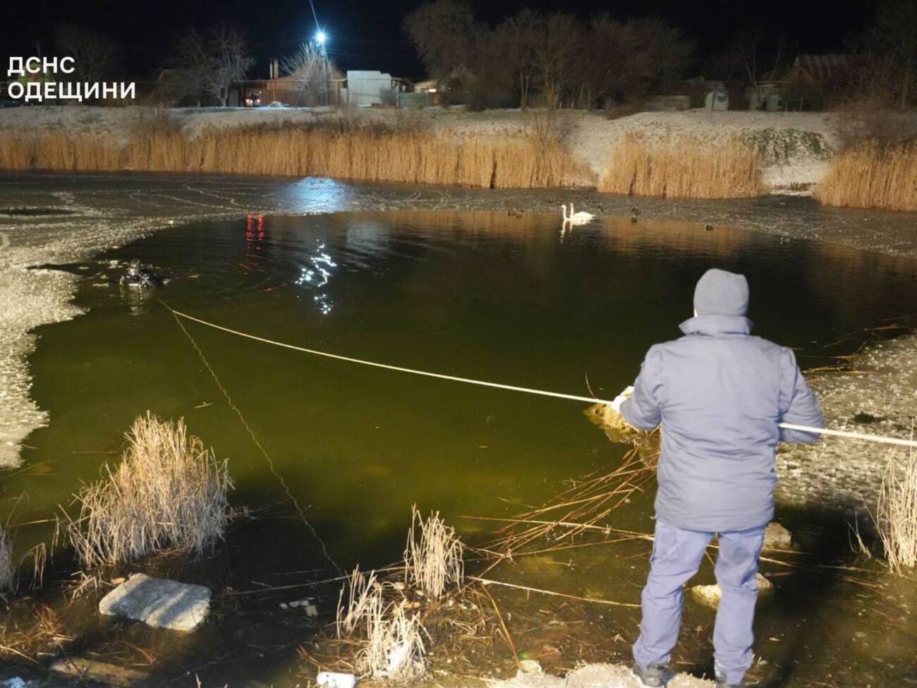 Трагедия произошла на пруду