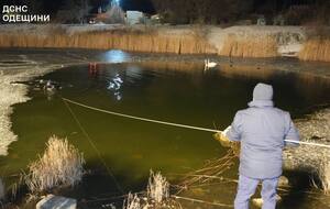 Трагедия произошла на пруду