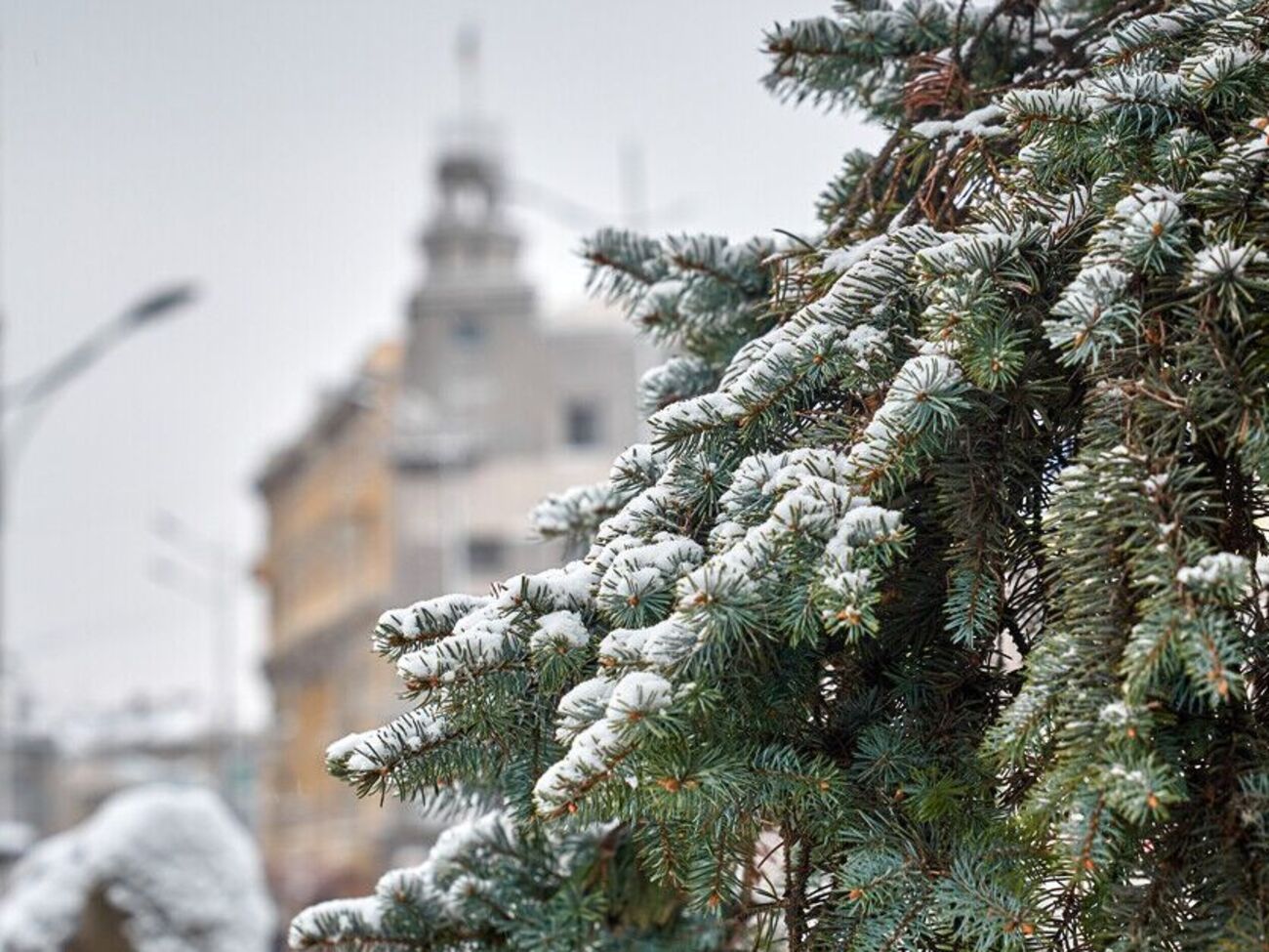 18 февраля ожидается -1...-6 °С