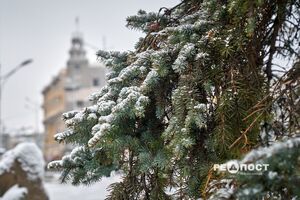 18 февраля ожидается -1...-6 °С