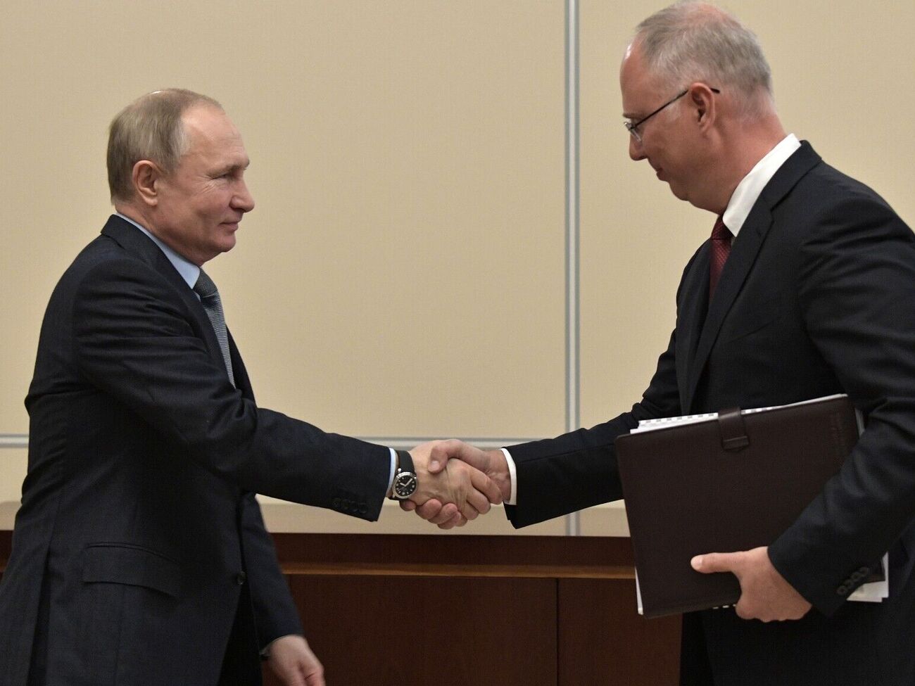 Дмитриева называют одним из "ходоков в Кремль, близких к телу" Путина