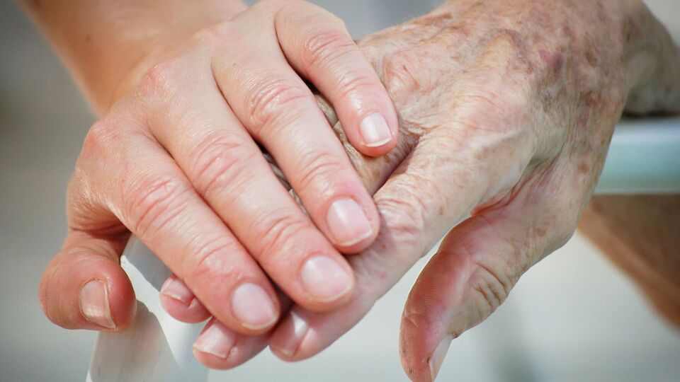 Группа, которая осуществляла проверку, зафиксировала в заведении четырех привязанных людей