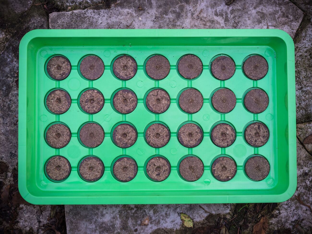 Торфяные таблетки можно сделать своими руками