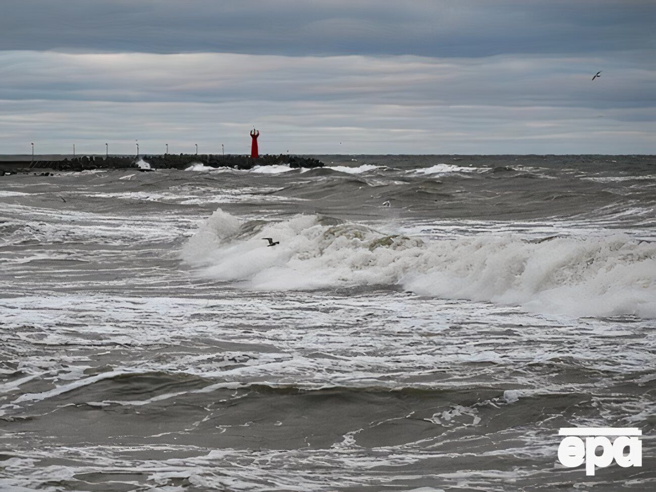 За даними Yle, пошкодження кабелю сталося в Балтійському морі поблизу шведського острова Готланд