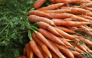 Морковь не стоит сажать рядом со свеклой