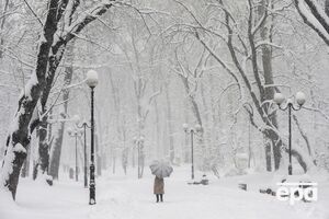 На сході й півночі країни прогнозують сніг