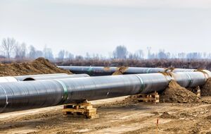 Нужно выходить и честно говорить с населением о том, какие нас ожидают трудности, сказал Мизовец