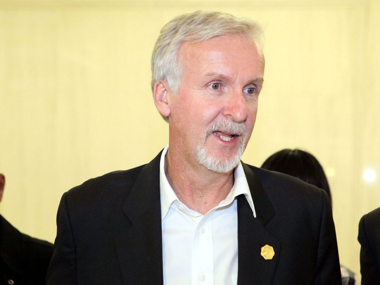 По словам Кэмерона, "Америка ничего не стоит, если она не стоит за то, за что она исторически стояла"