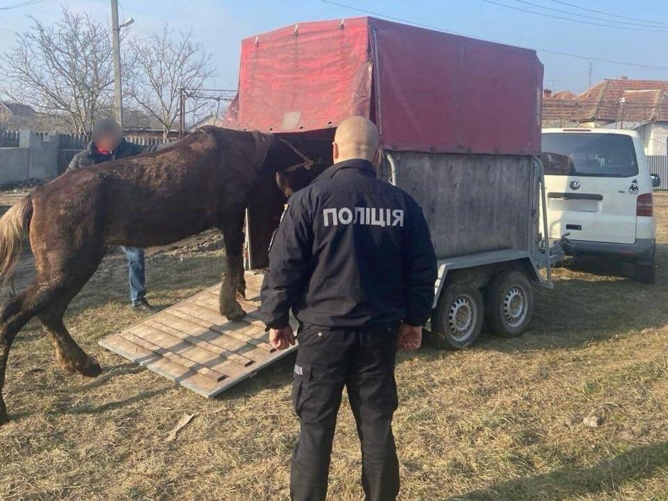 Полицейские изъяли коня и перевезли его в реабилитационный центр