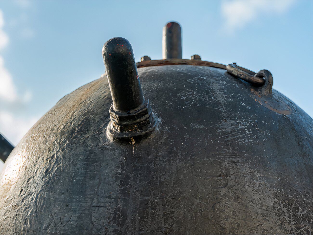 У нацпарку зазначили, що там зимують десятки тисяч птахів із різних частин Європейського континенту