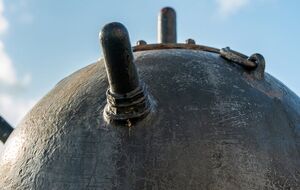 У нацпарку зазначили, що там зимують десятки тисяч птахів із різних частин Європейського континенту