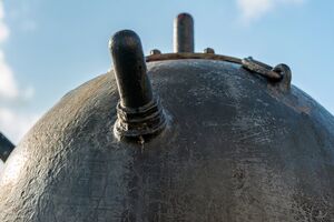 У нацпарку зазначили, що там зимують десятки тисяч птахів із різних частин Європейського континенту