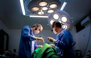 Как уточняет Ouest-France, средний возраст жертв на момент преступления составлял 11 лет