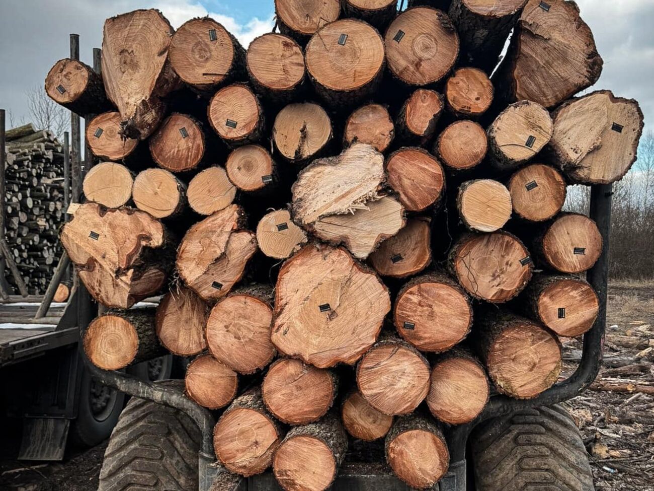 Дрова покупались по завышенной цене – ГБР