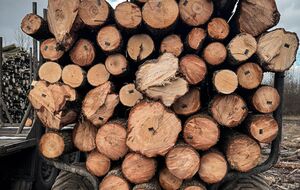 Дрова покупались по завышенной цене – ГБР