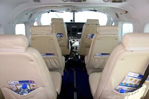 В самолете были пилот и девять пассажиров