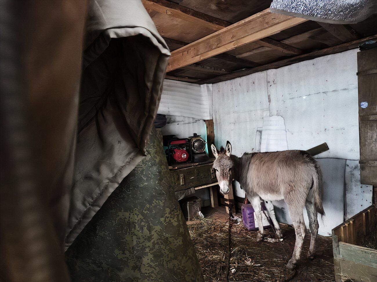 Генерал-лейтенант РФ Соболев заявил, что не видит в этом ничего плохого