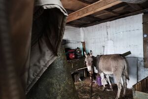Соболєв заявив, що не бачить у цьому нічого поганого