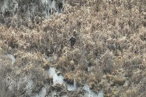 В ГПСУ рассказали о двух случаях спасения заблудившихся мужчин