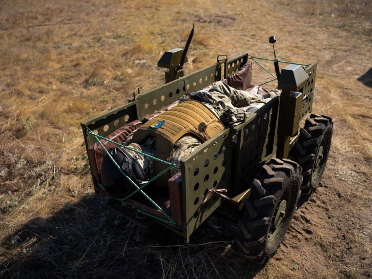 В прошлом году за аналогичный период кодифицировали около 60 образцов ВВТ