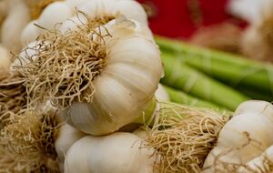 Чеснок будет лучше расти, если рядом будут дружественные растения