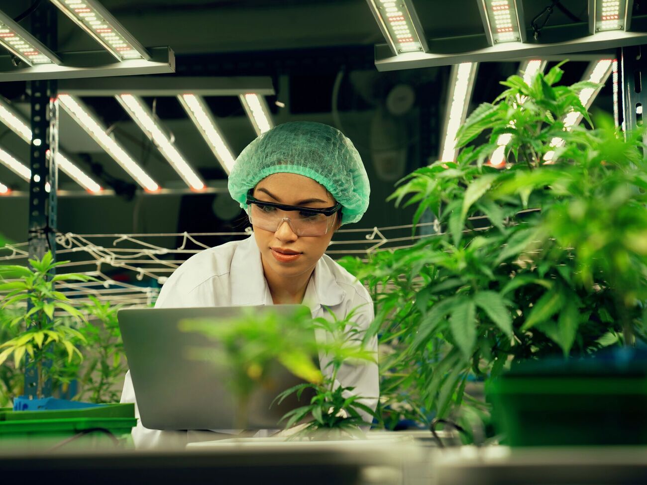 Система має забезпечити відкритість ринку, знизити ймовірні корупційні ризики й зменшити бюрократію