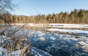 Двух мальчиков спасла прохожая