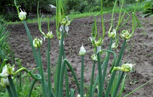 От стрелок нужно избавиться