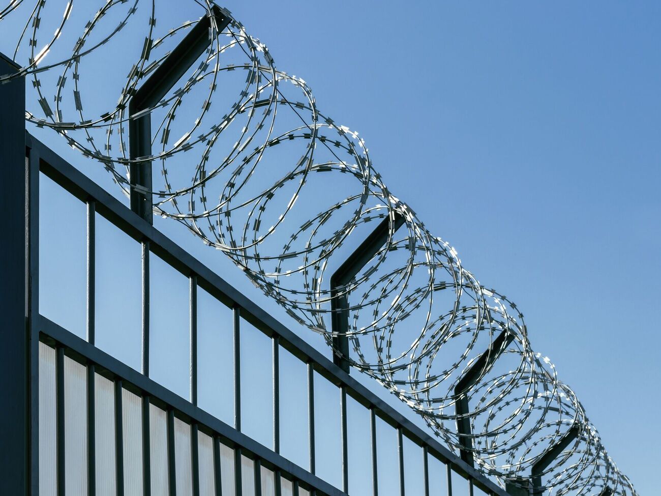 Жінка купувала людські органи в сімох країнах і продавала їх на чорному ринку