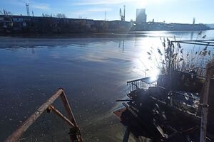 По данным экологов, общая площадь загрязнения составила 700 м²