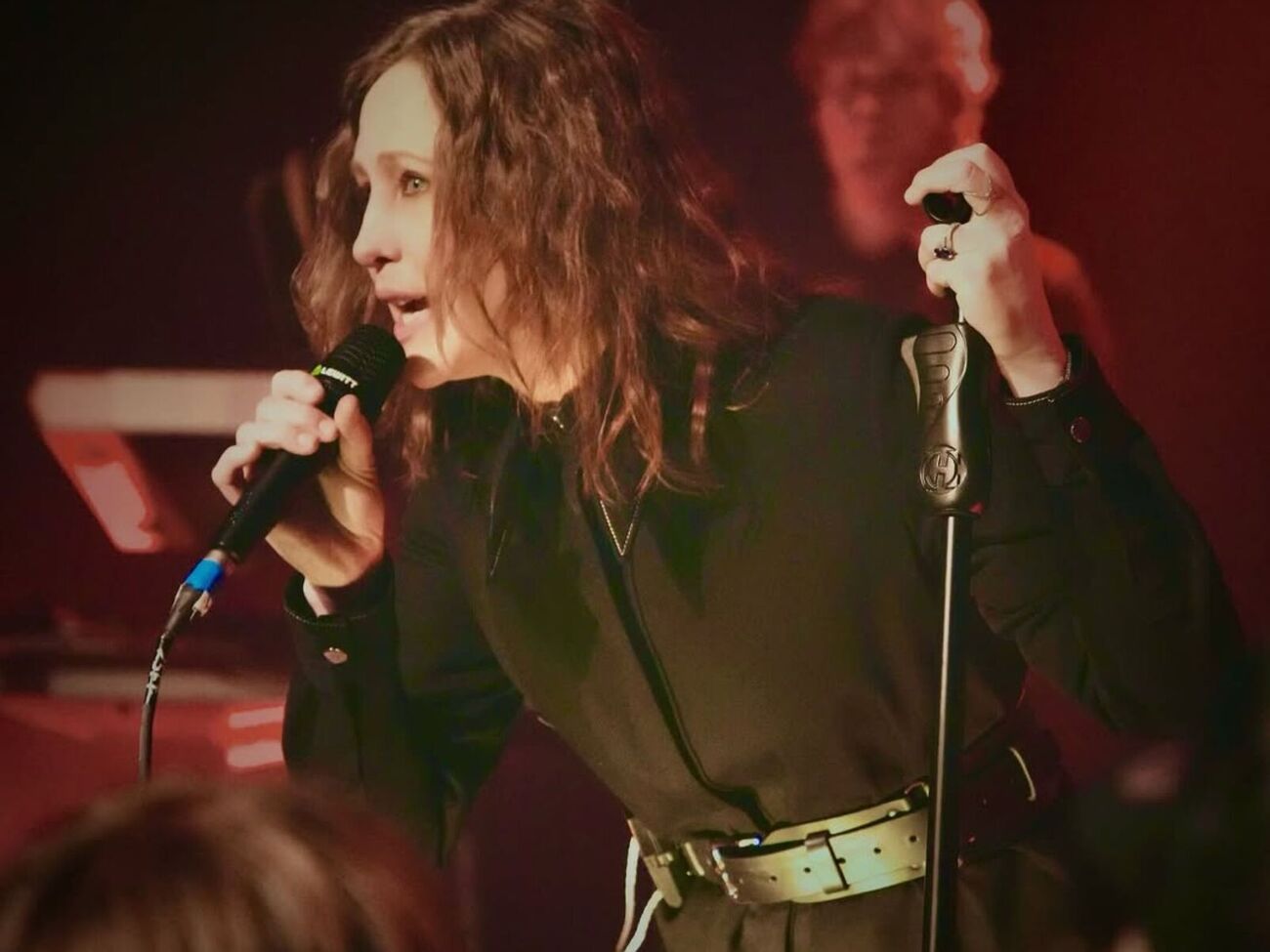 Фарміга: Ця пісня завжди є поривом повітря, що надихає