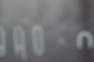 Зюбина: В преддверии выборов эти звания раздаются, как горячие пирожки, чтобы люди пошли и проголосовали