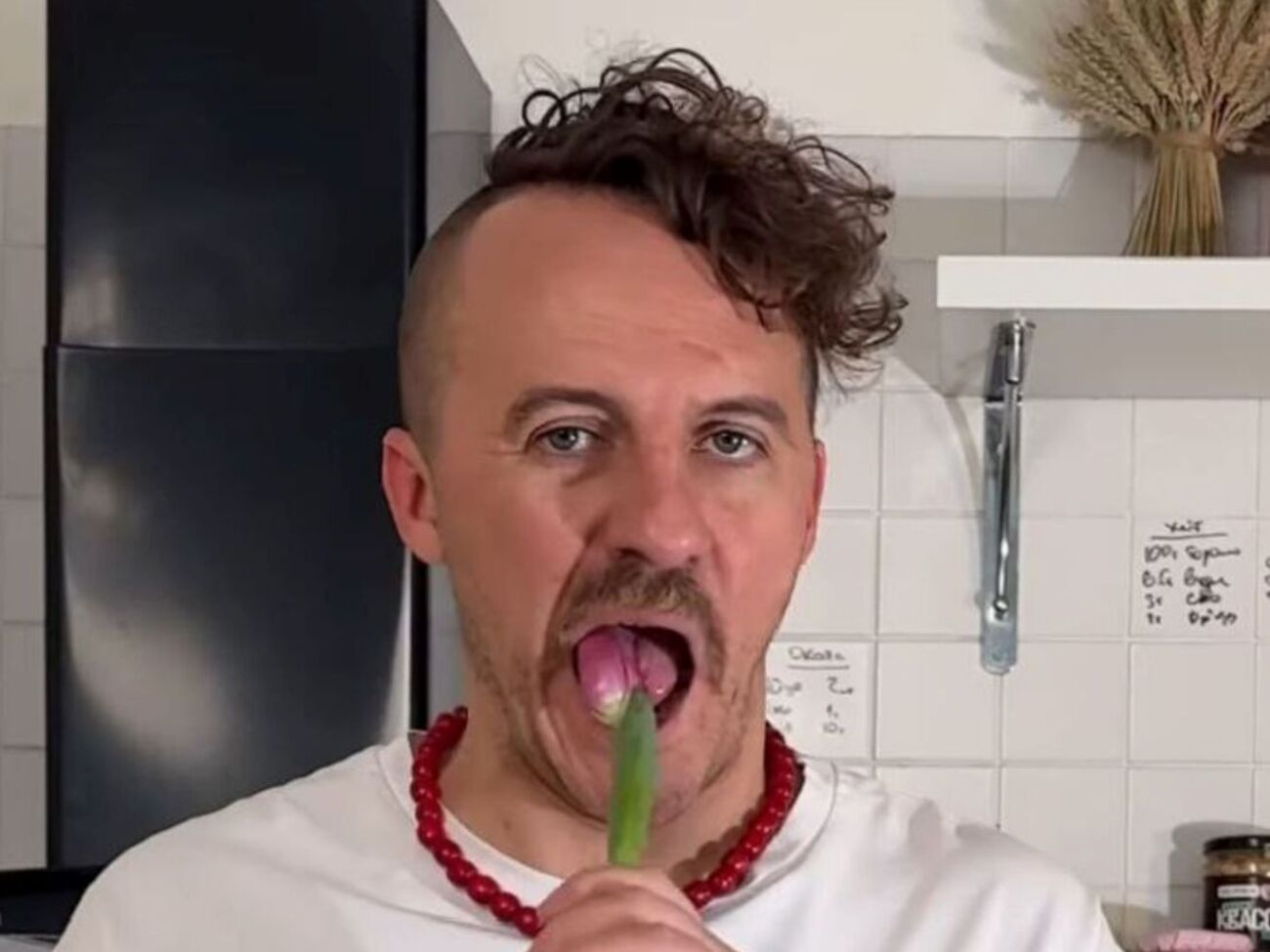 Клопотенко: Тюльпаны имеют очень хороший вкус – они немножко похожи на горох, немножко похожи на спаржу