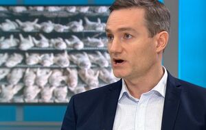 Ярлов добавил, что во время парламентских выборов Гренландия проголосовала "против немедленной независимости от Дании"