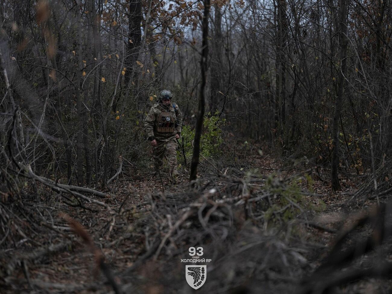 На покровському напрямку сили оборони відбили 43 атаки окупантів