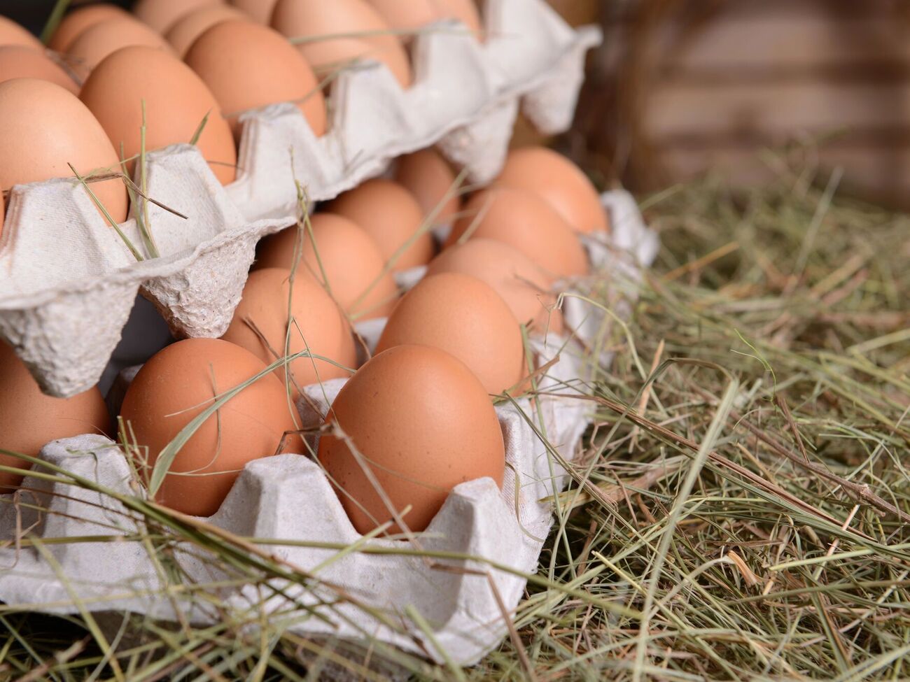 Яйця можна зберігати й за кімнатної температури