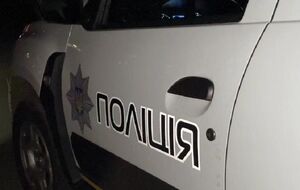 Полиция сообщила, что проводит служебное расследование