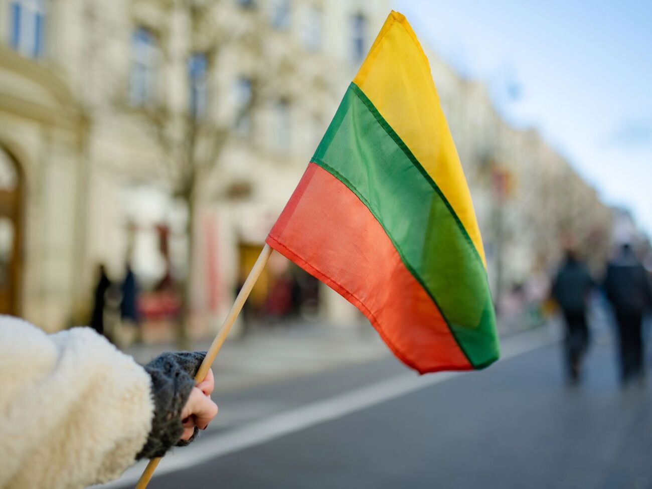 Литва продолжает развивать военное сотрудничество с Украиной