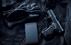 Сервіс генерації дозволу на зброю запустили 10 березня