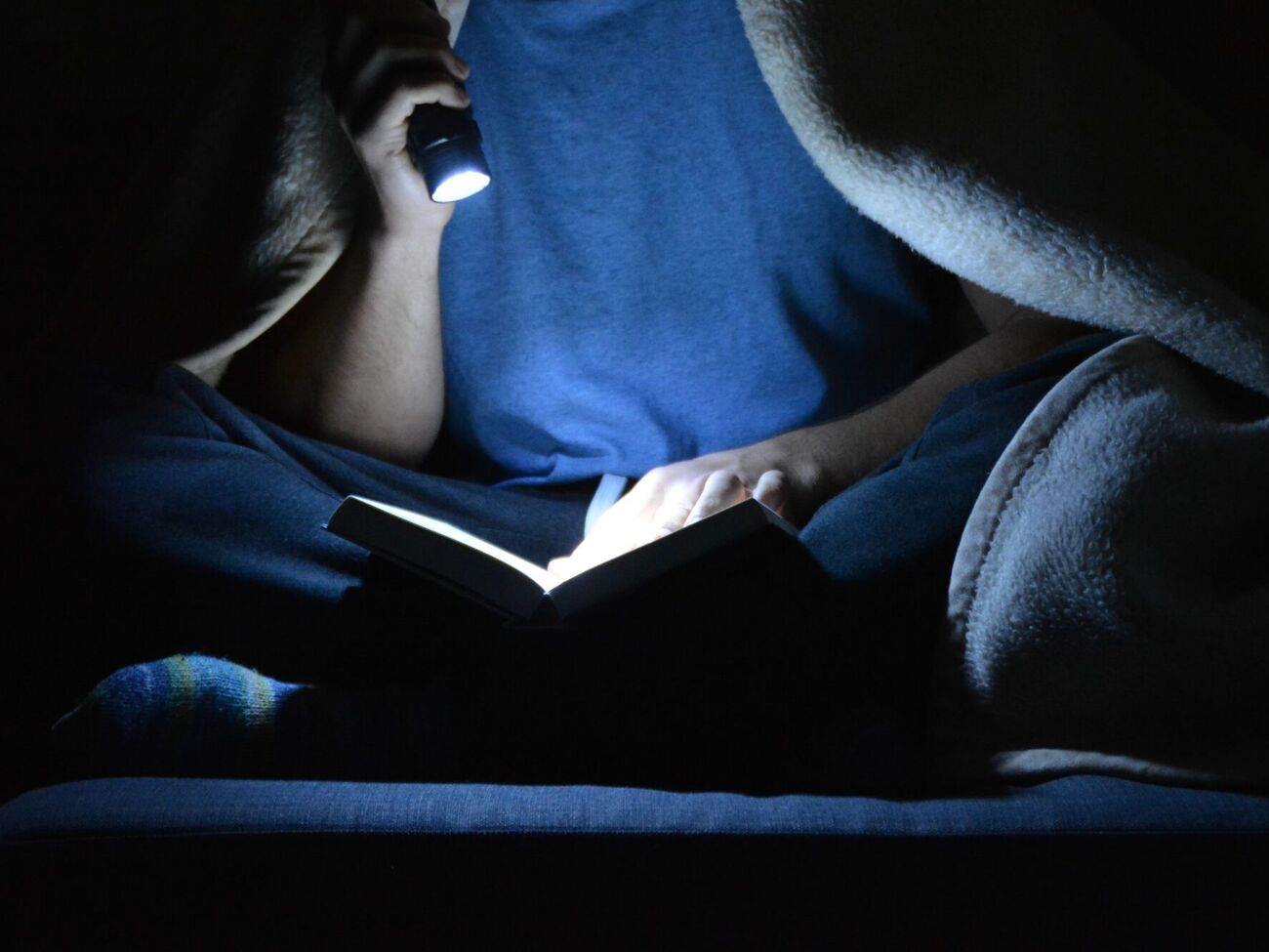 Оккупанты признали украинские учебники "экстремистскими", за их хранение могут приговорить к пяти годам лишения свободы, отмечает издание