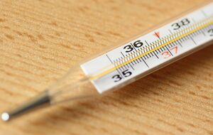 Если разбился градусник, нельзя собирать ртуть веником, пылесосом, мокрой тряпкой или магнитом