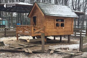 Дрон оккупантов попал по контактному двору экопарка