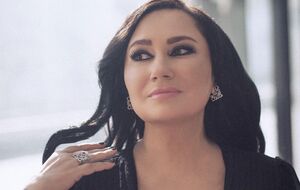 Мозгова: У мене є певний досвід у цьому питанні